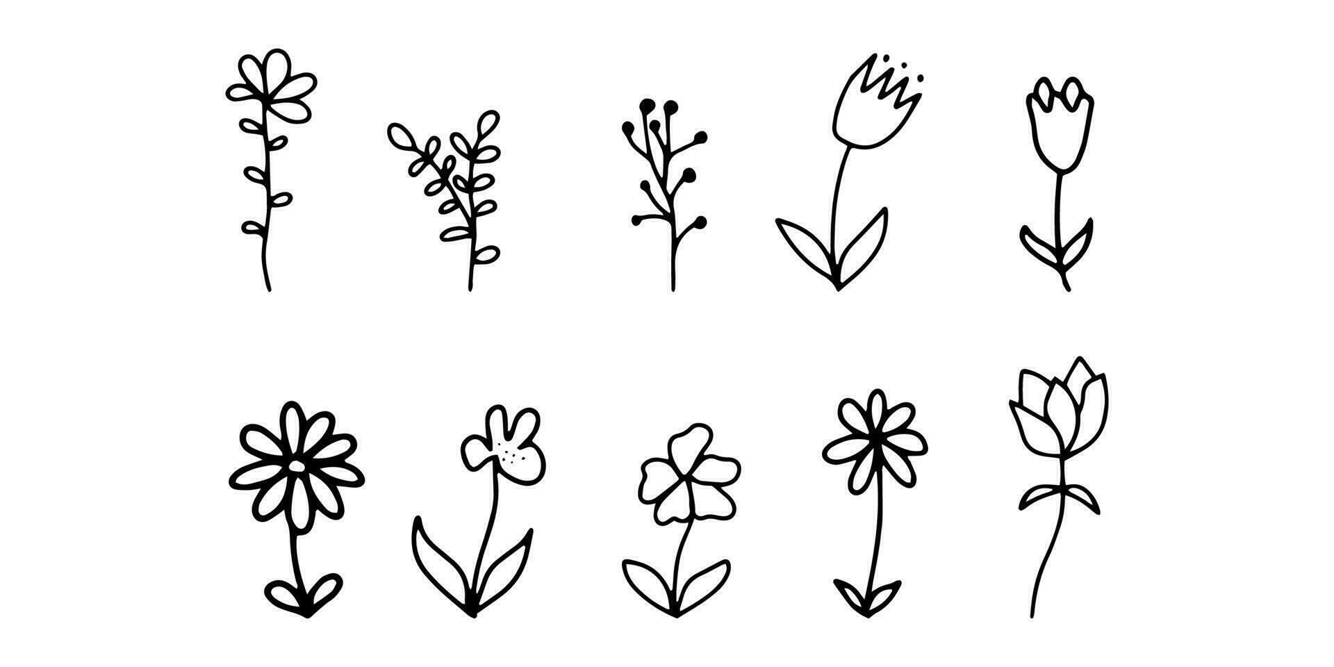 Doodle flowers. Set with outline flora , simple shapes. Vector illustration isolated on white background