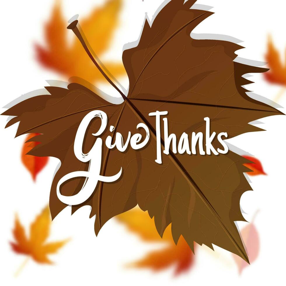Calligraphy of Give Thanks message on maple leaves background. Can be used as greeting card design. vector