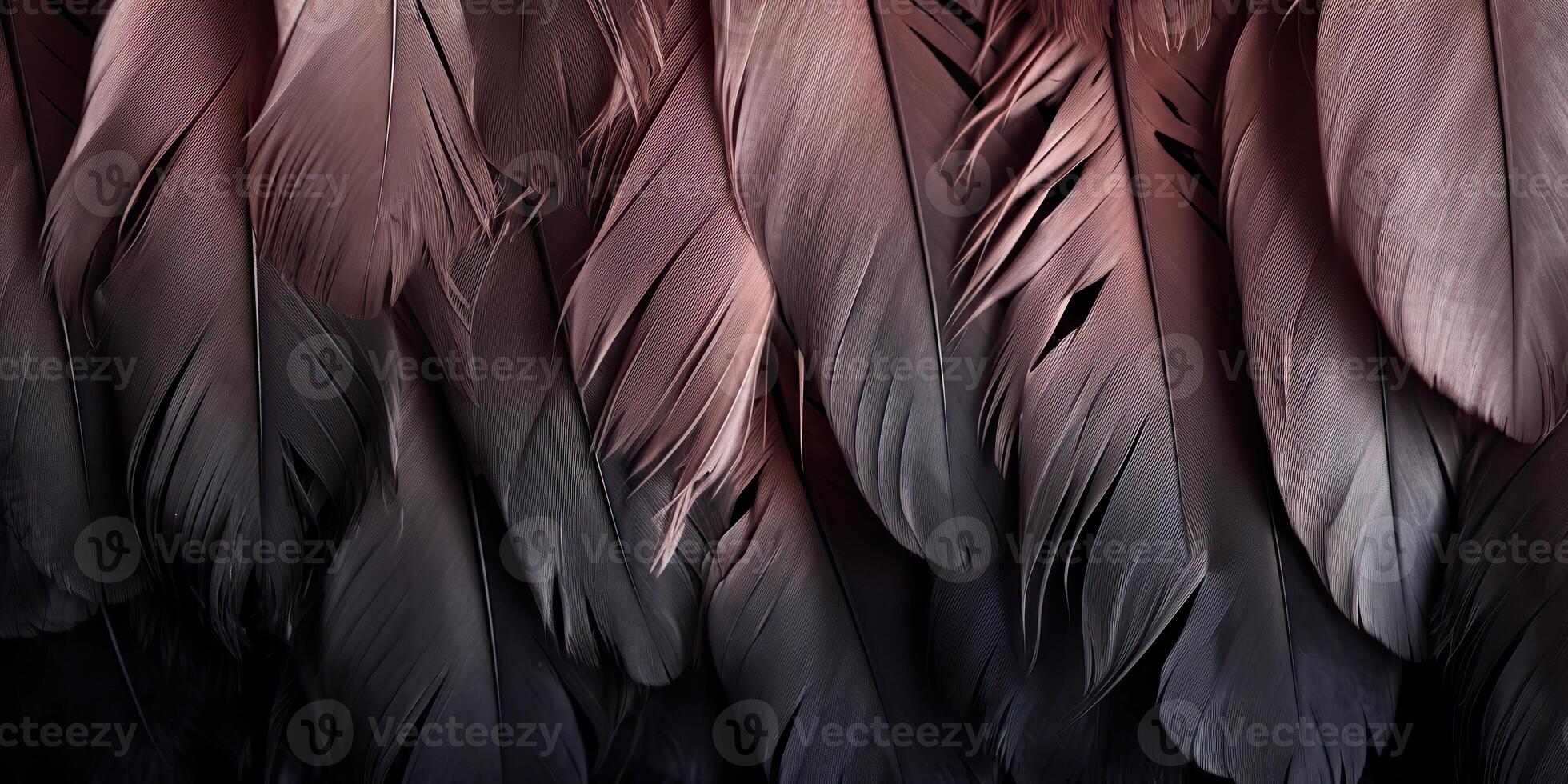 . . Photo realistic black feathers pattern background texture. Ellegant aesthetics luxury vibe. Graphic Art