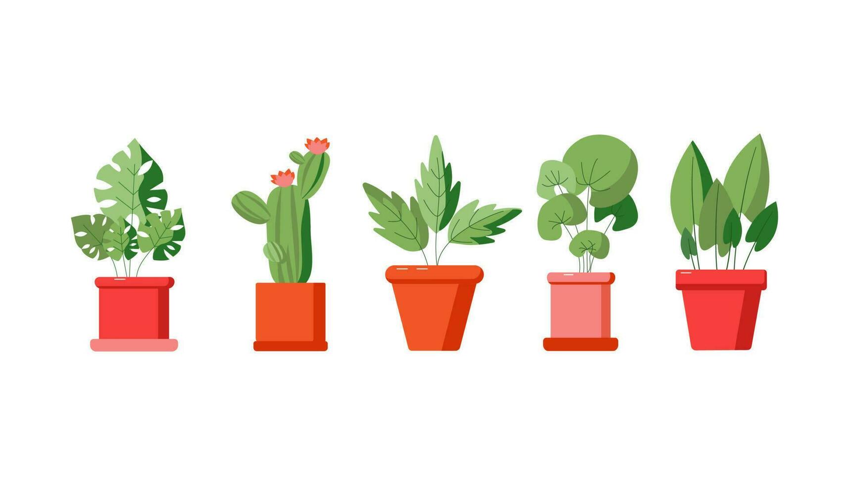 Home plants set. Plant Care.  House plant in a pot.  Potted plant .  Vector, illustration, vector