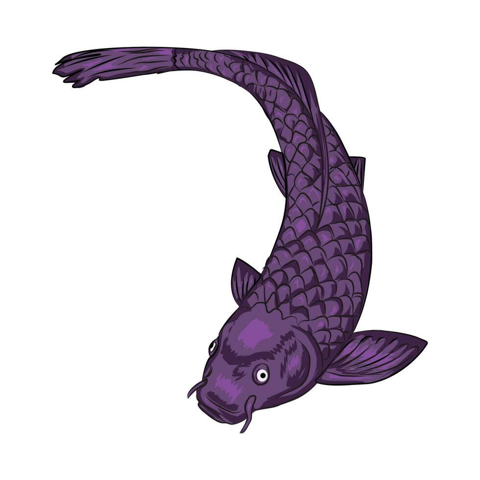 Fish vector illustration