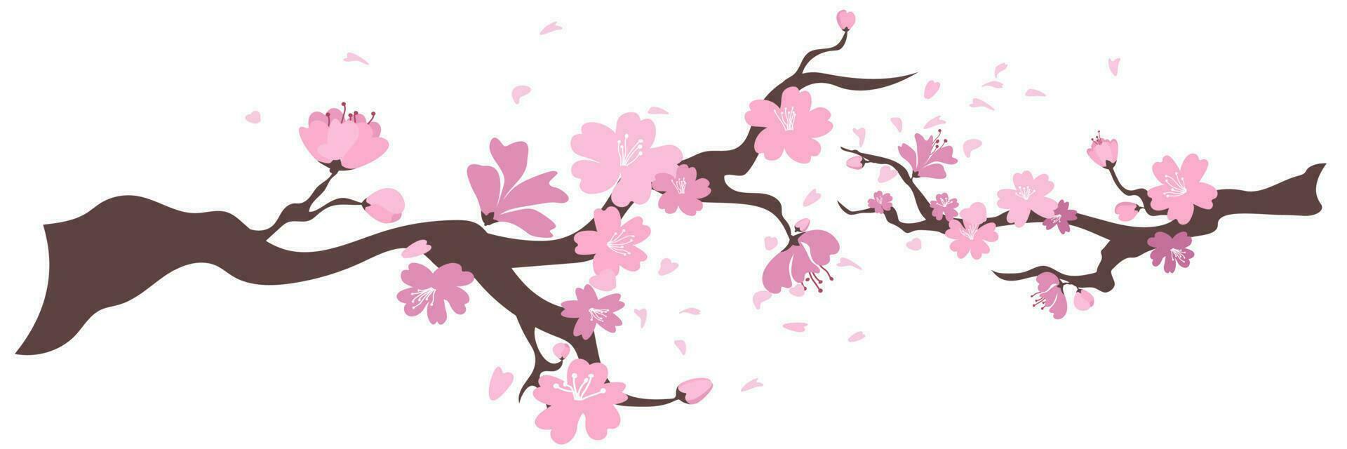 Sakura flowers frame. Background with blossom cherry tree branches. Japanese flowers on white background. Vector illustration.