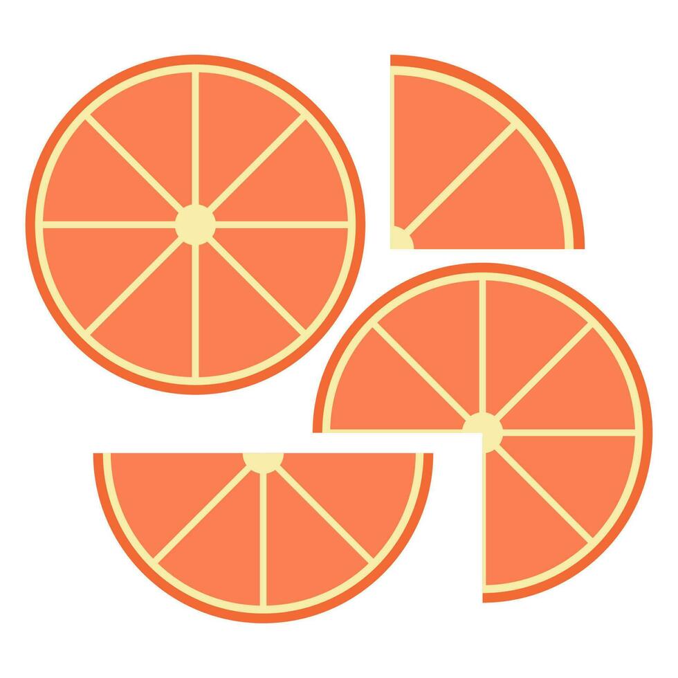 Citrus slices of lemon, orange, lime and grapefruit. Vector illustration.