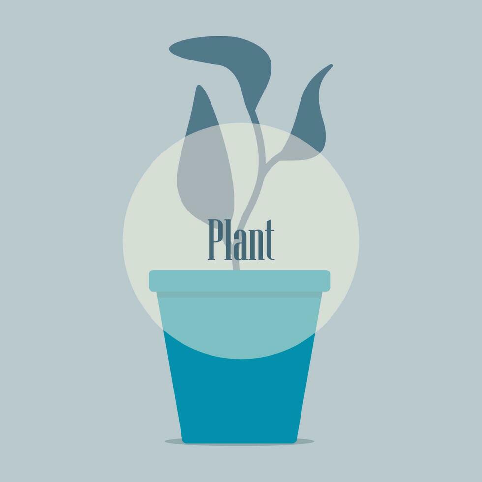 Plants in the pots. Vector blue vase background.