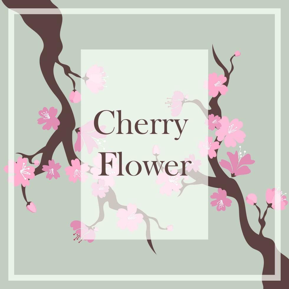 Ggreeting card with a blossom sakura for your design. Cherry flower vector. vector