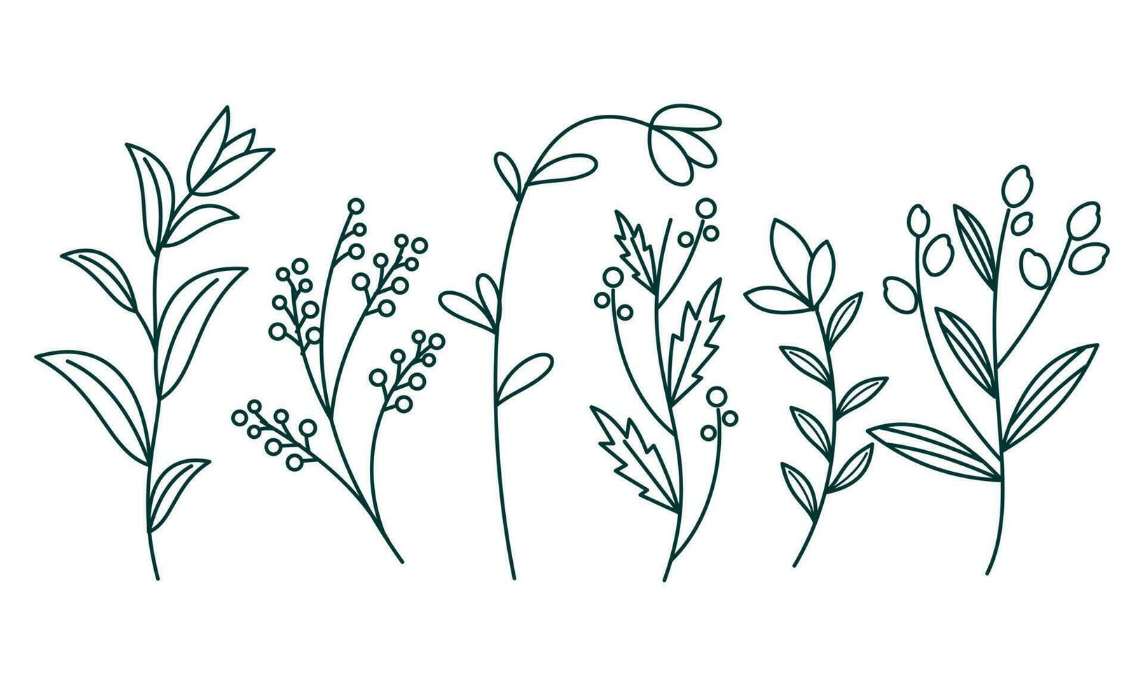Floral ornamental element pack vector