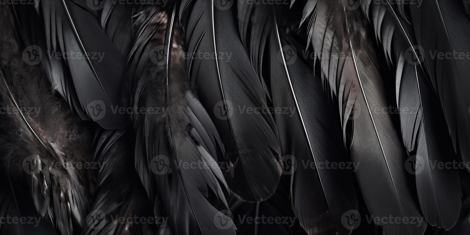 . . Photo realistic black feathers pattern background texture. Ellegant aesthetics luxury vibe. Graphic Art