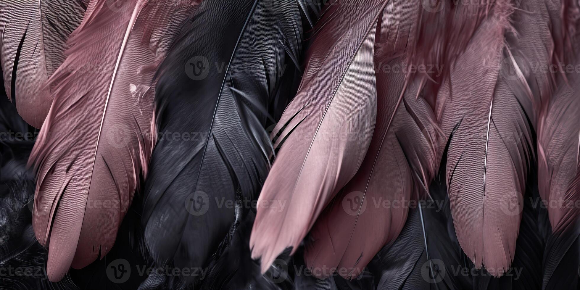 . . Photo realistic black feathers pattern background texture. Ellegant aesthetics luxury vibe. Graphic Art