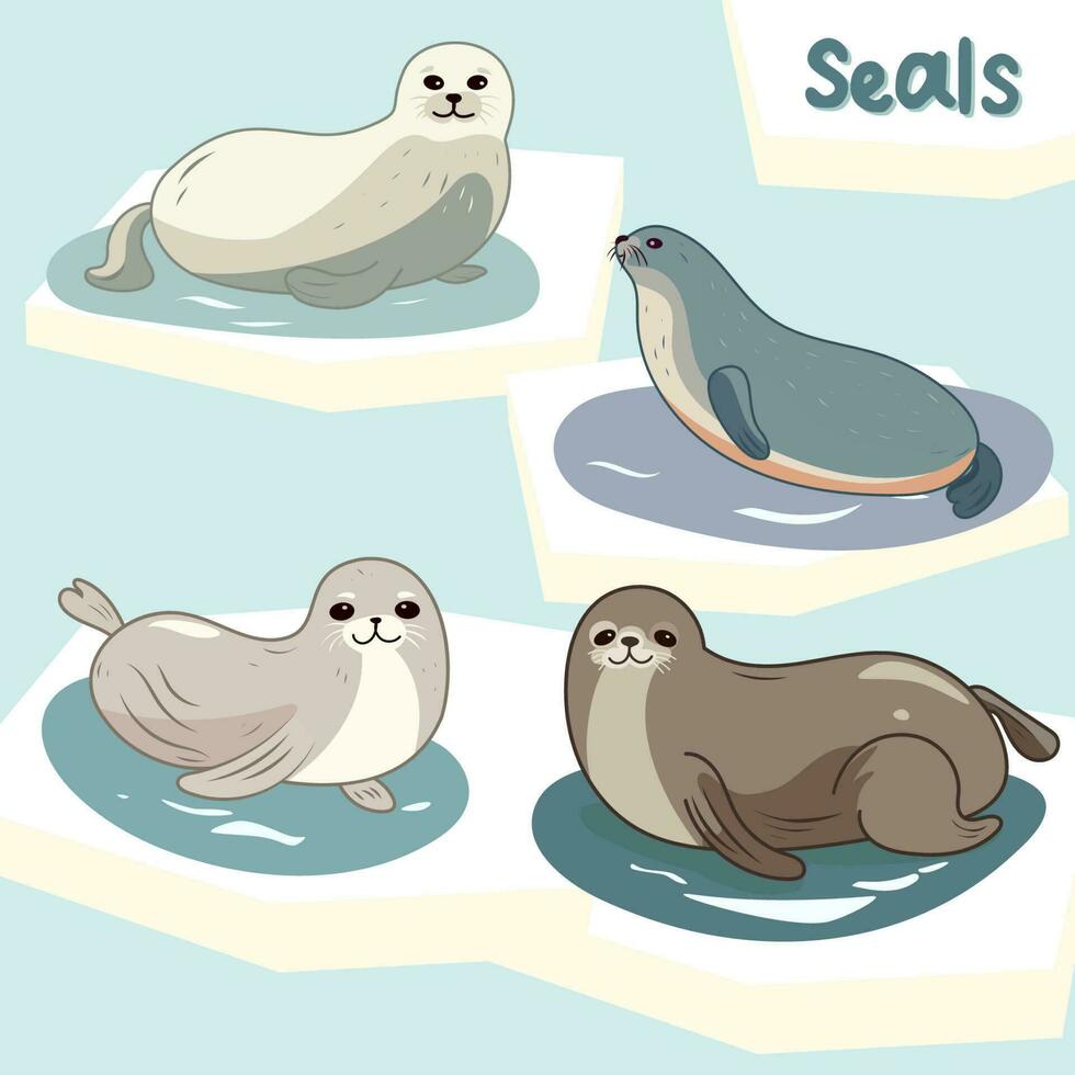Set of cute cartoon fur seals. Polar marine  vector illustration