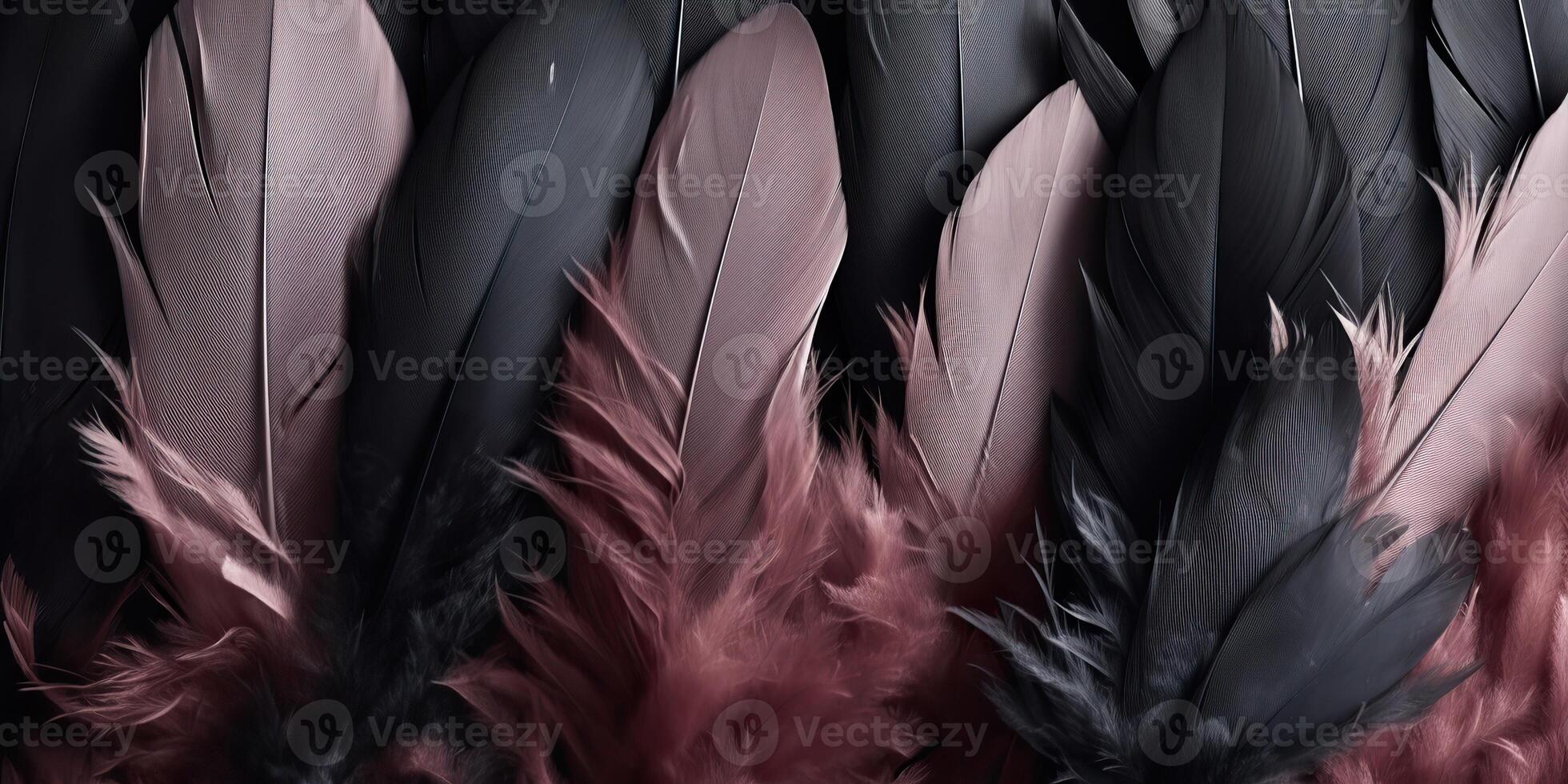 . . Photo realistic black feathers pattern background texture. Ellegant aesthetics luxury vibe. Graphic Art