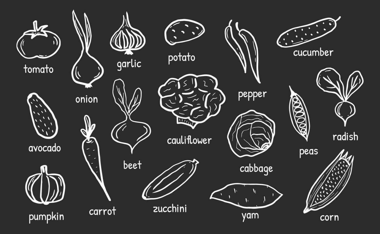 Doodle vegetables on black background. Vector hand drawn vegetable set with its name