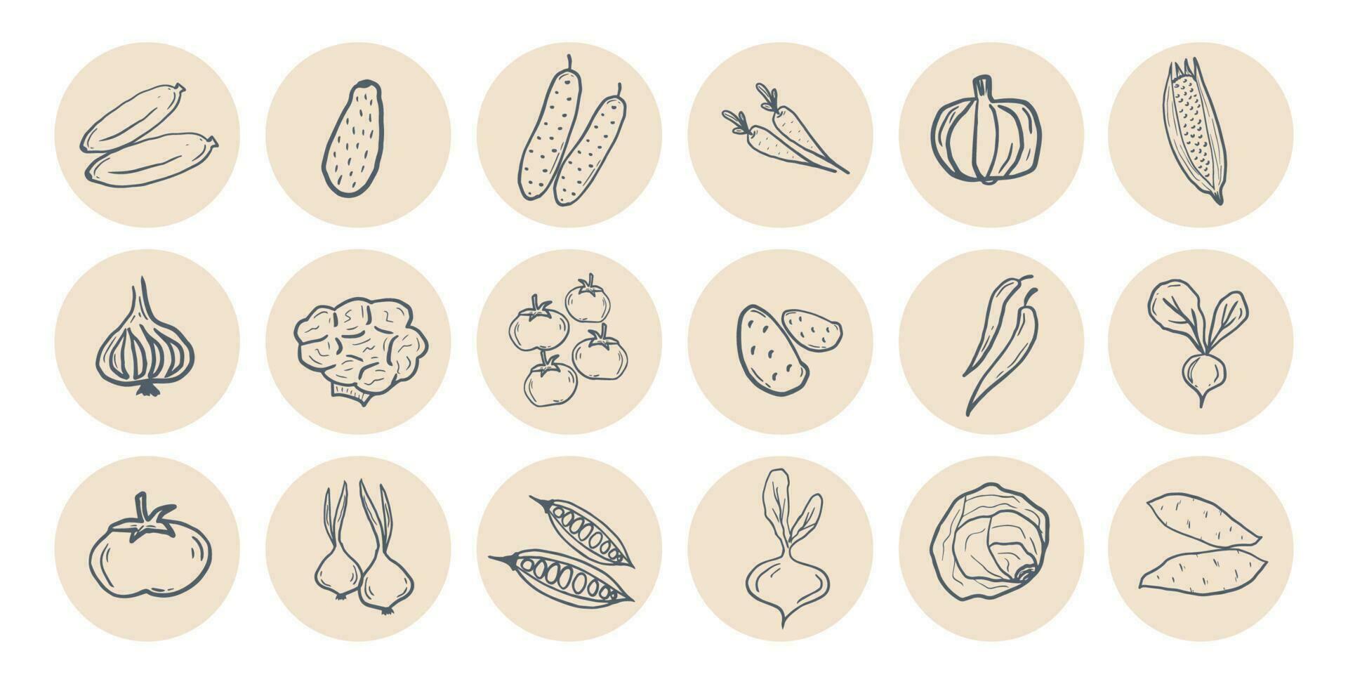 Vegetable doodle sticker pack. Hand drawn trendy illustrations in pastel circles. Healthy food collection set vector