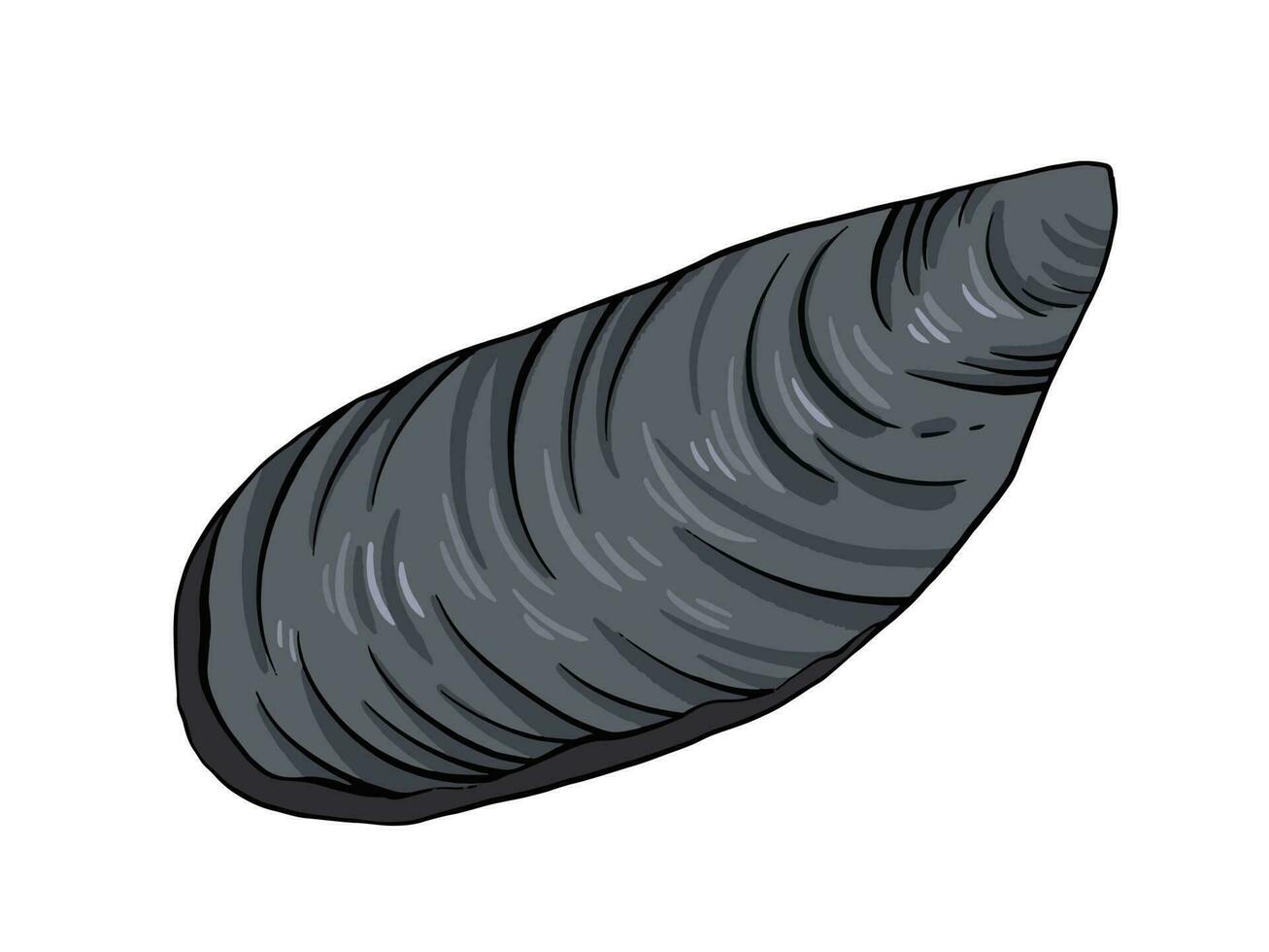 Outlined cartoon closed black mussels sea food vector illustration isolated on horizontal landscape white colored template. Simple flat art styled shellfish.