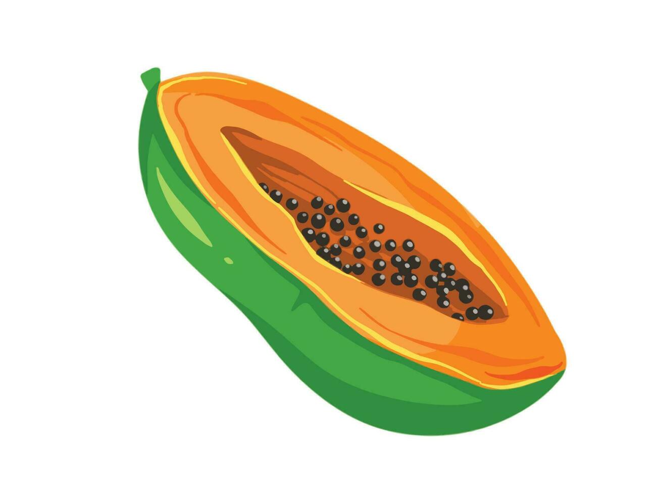 Sliced papaya vector illustration isolated on white horizontal background. Simple and flat art styled drawing.