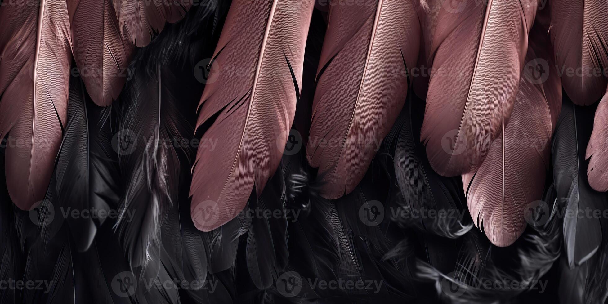 . . Photo realistic black feathers pattern background texture. Ellegant aesthetics luxury vibe. Graphic Art