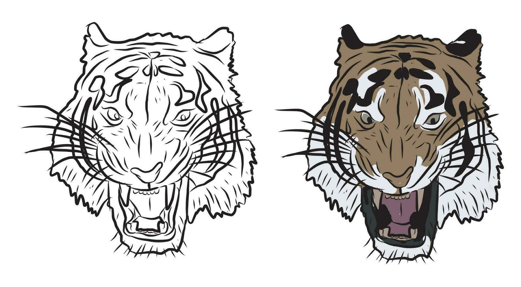 pictures for education coloring tiger heads, suitable for drawing books, coloring applications and more vector