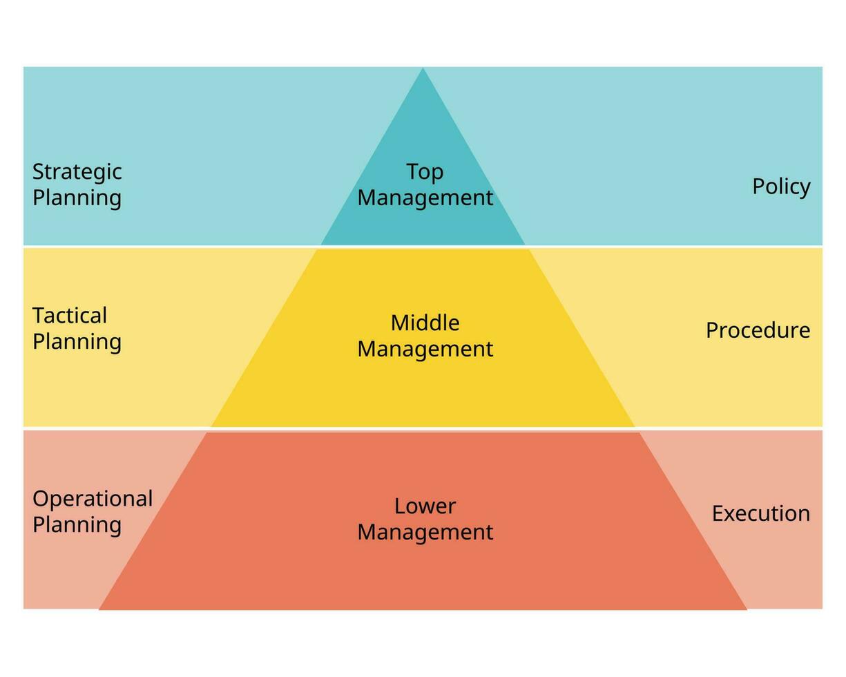 Management Pyramid and type of Management Structures hierarchy vector