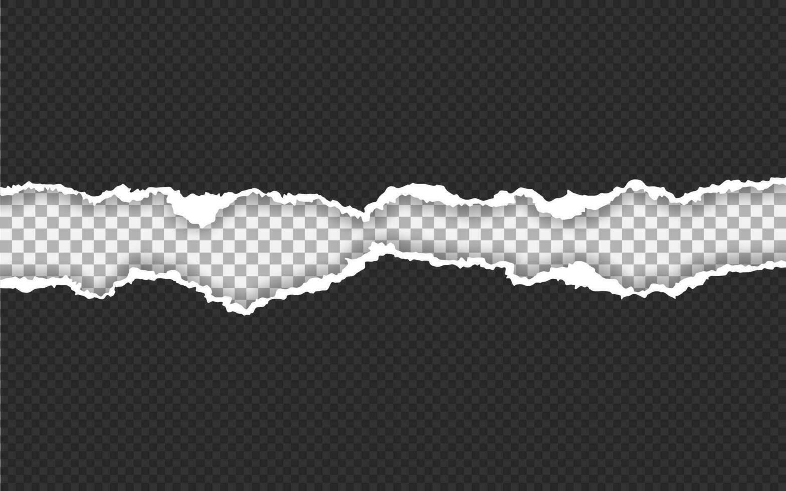 Torn paper edge. Ripped squared paper strips. Vector illustration
