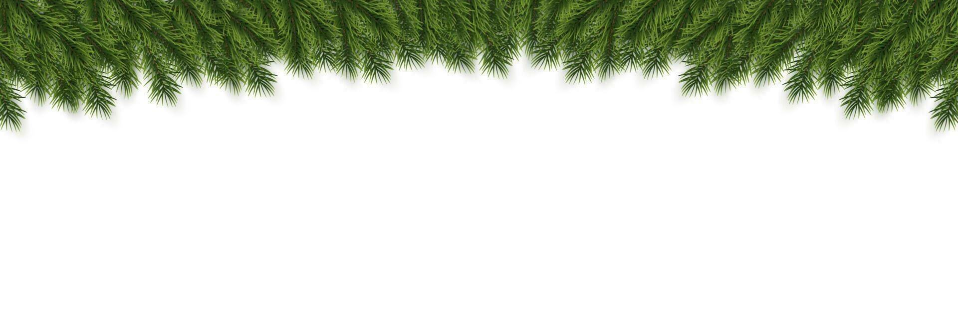 Festive Christmas or New Year Background. Christmas Tree Branches. Holiday's Background. Vector illustration