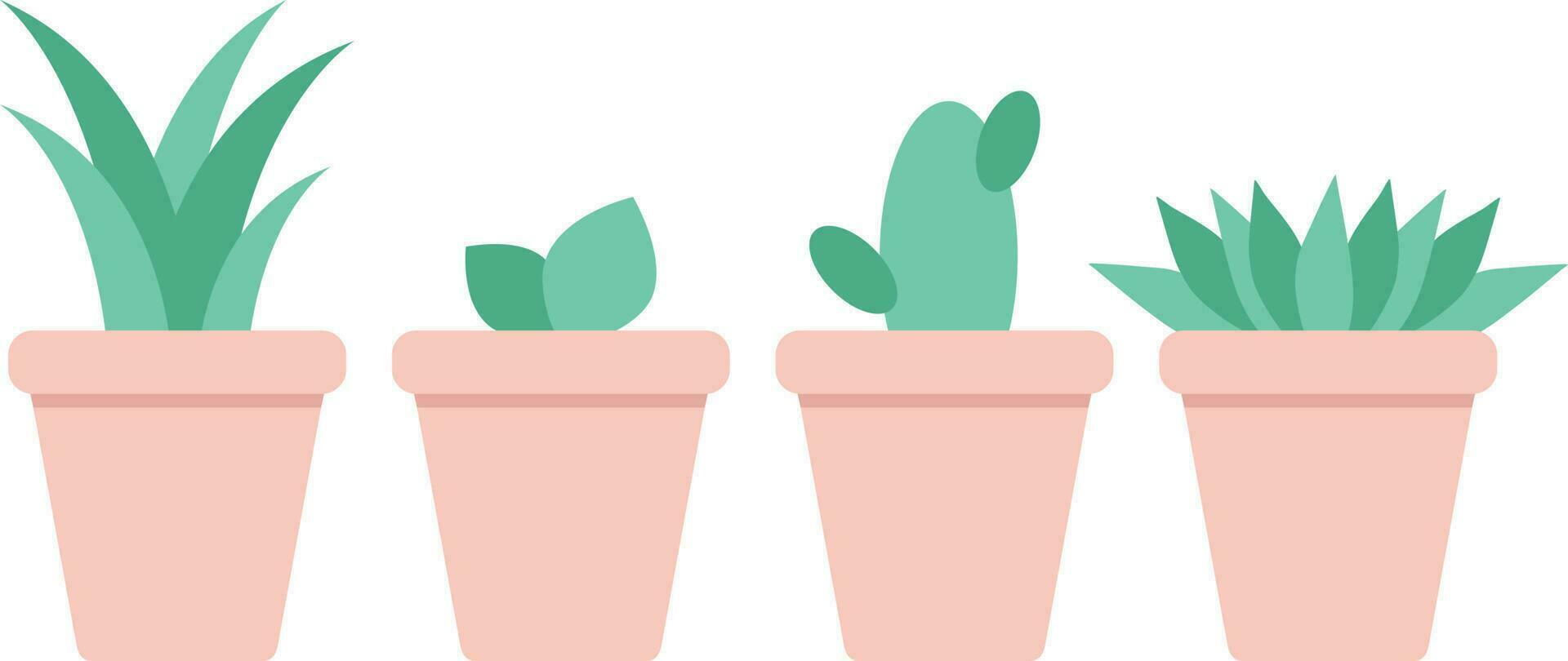 Various house plants in the pots. Green house flowers isolated on white background. Vector illustration in flat style