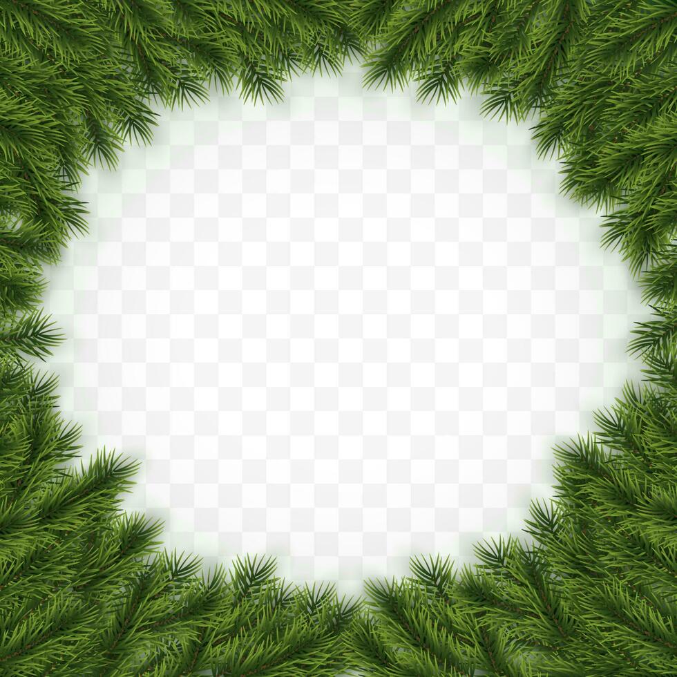 Festive Christmas or New Year Background. Christmas Tree Branches. Holiday's Background. Vector illustration