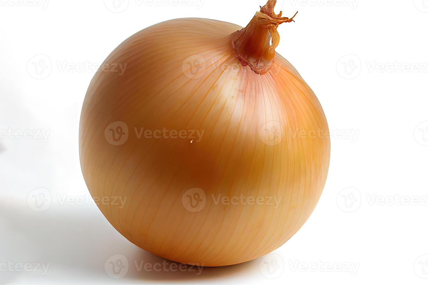 Vegetable One natural Onions. photo