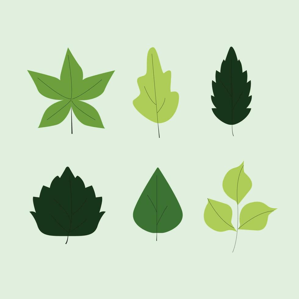 Hand drawn leaves vector