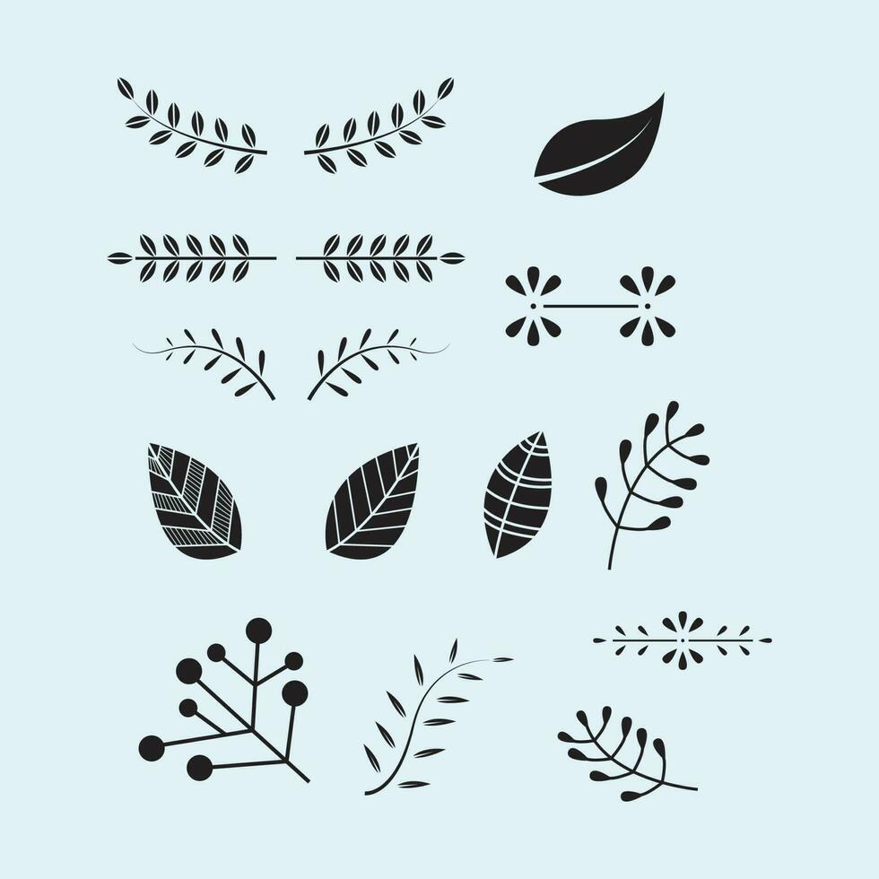 Beautiful leaves collection vector