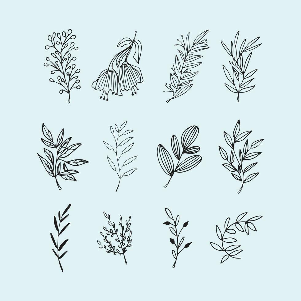 elegant hand drawn flowers leaves vector