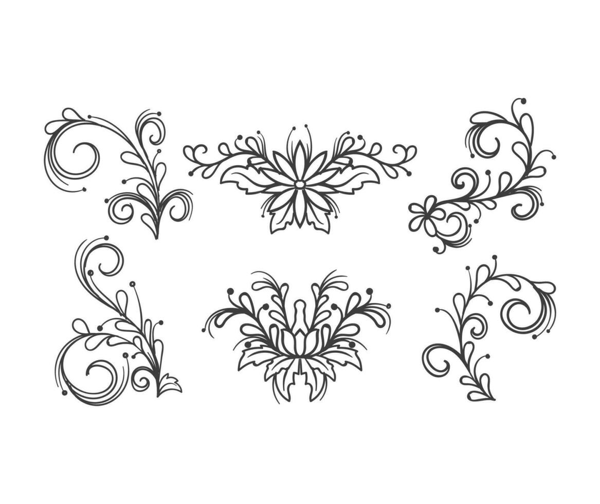 flat floral ornament vector