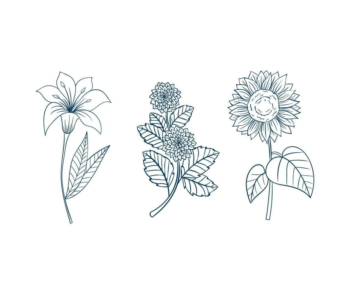 elegant flowers vector