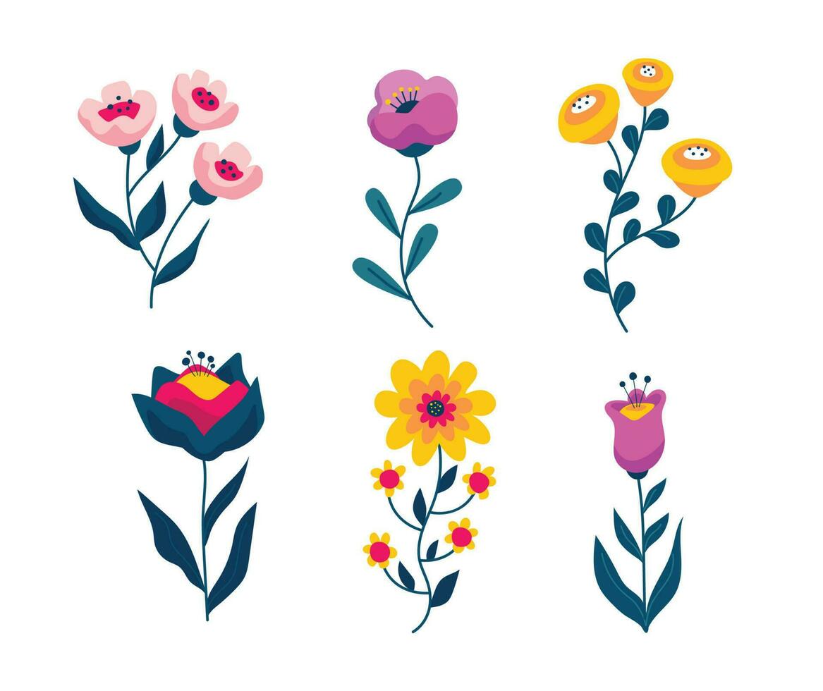 colourful flower collection vector