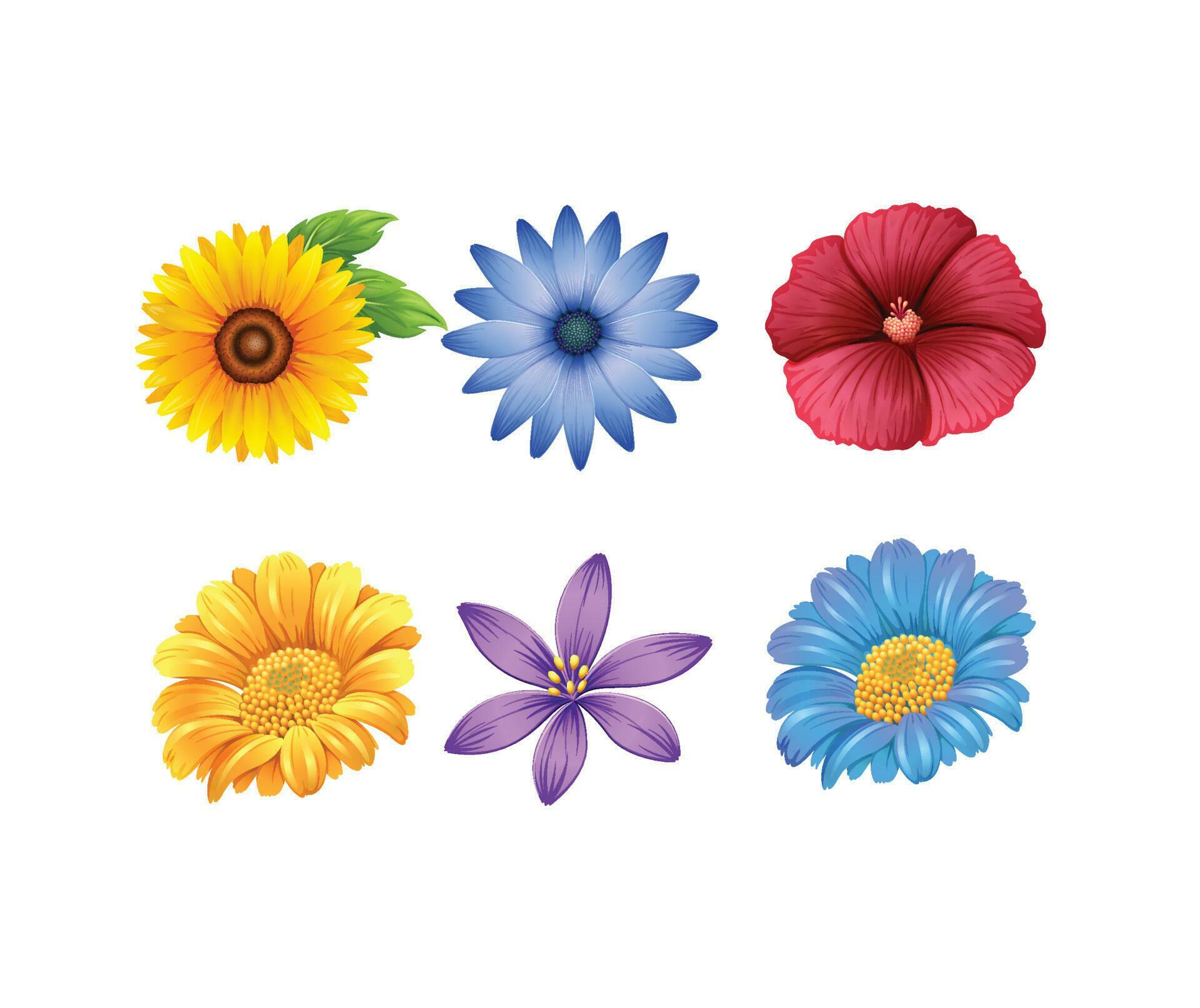 beautiful colourful flower set 23802992 Vector Art at Vecteezy