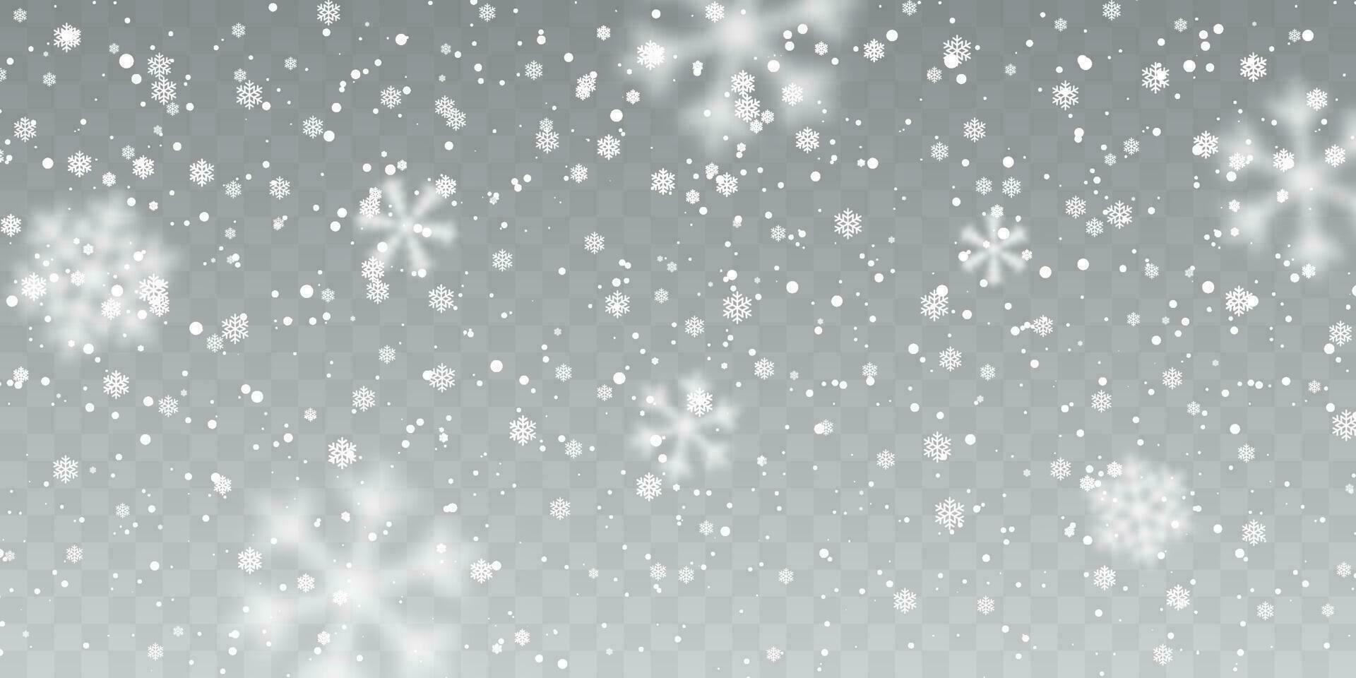 Christmas snow. Falling snowflakes on transparent background. Snowfall. Vector illustration