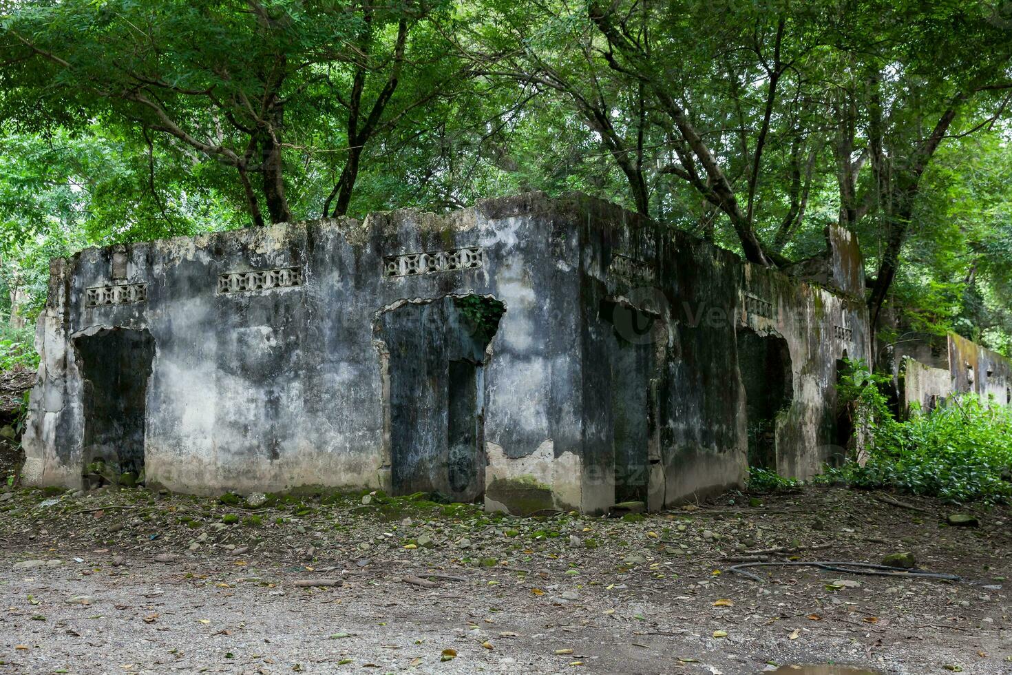 Remains of the destroyed houses of the Armero Town covered by trees and nature after 37 years of the tragedy caused by the Nevado del Ruiz Volcano in 1985 photo