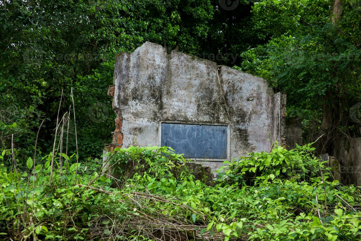 Remains of the destroyed houses of the Armero Town covered by trees and nature after 37 years of the tragedy caused by the Nevado del Ruiz Volcano in 1985 photo