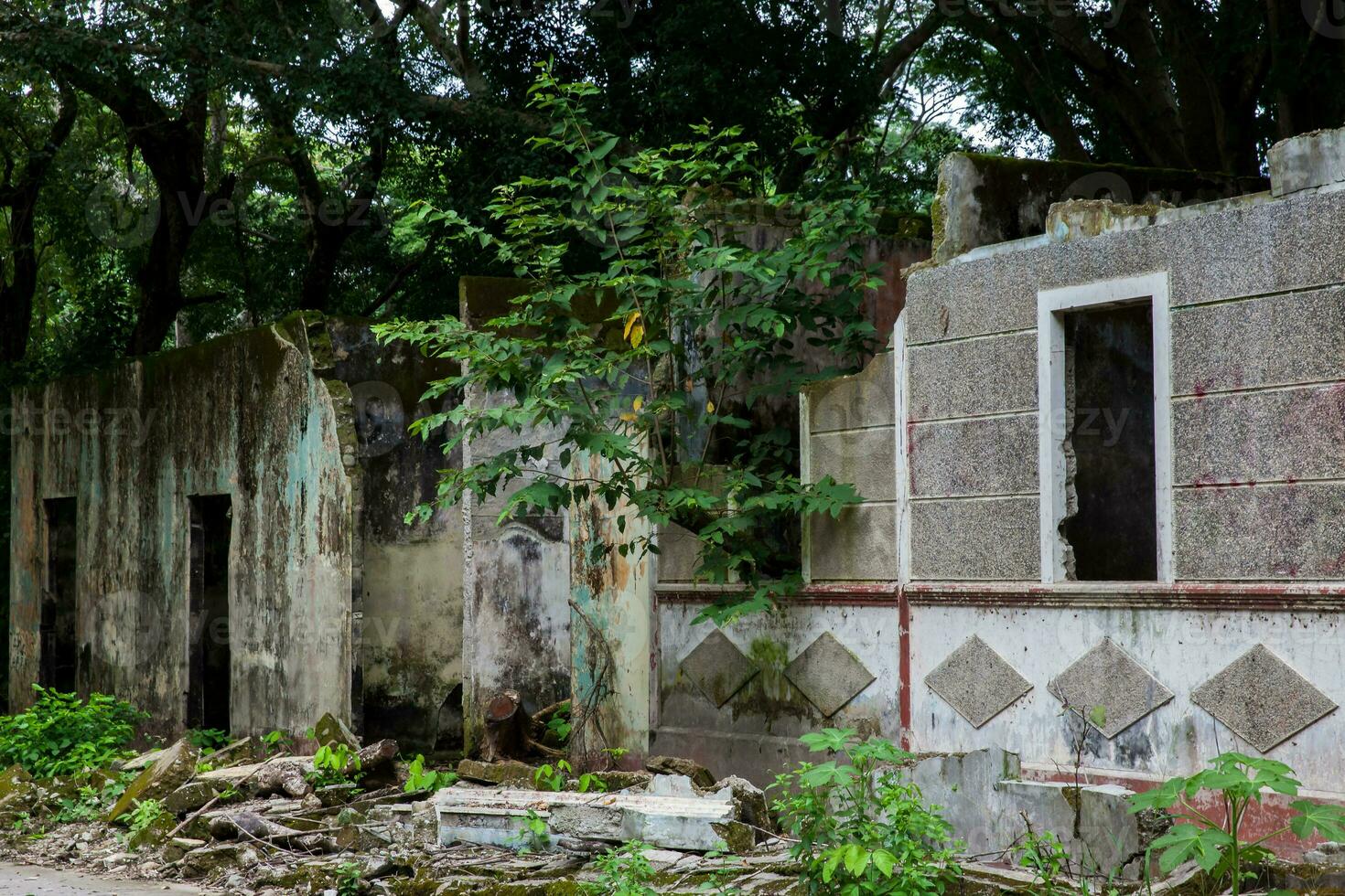 Remains of the destroyed houses of the Armero Town covered by trees and nature after 37 years of the tragedy caused by the Nevado del Ruiz Volcano in 1985 photo