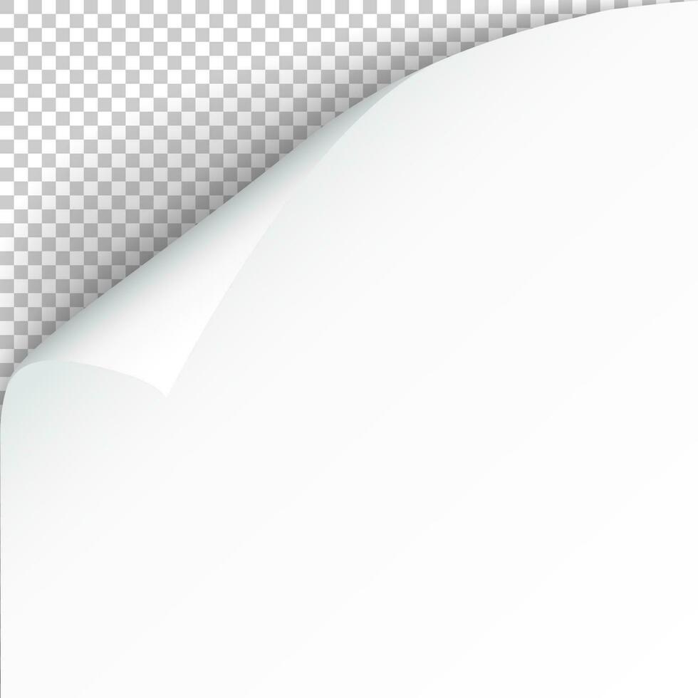 Sheet of paper with curled corner and soft shadow, template for your design. Vector illustration