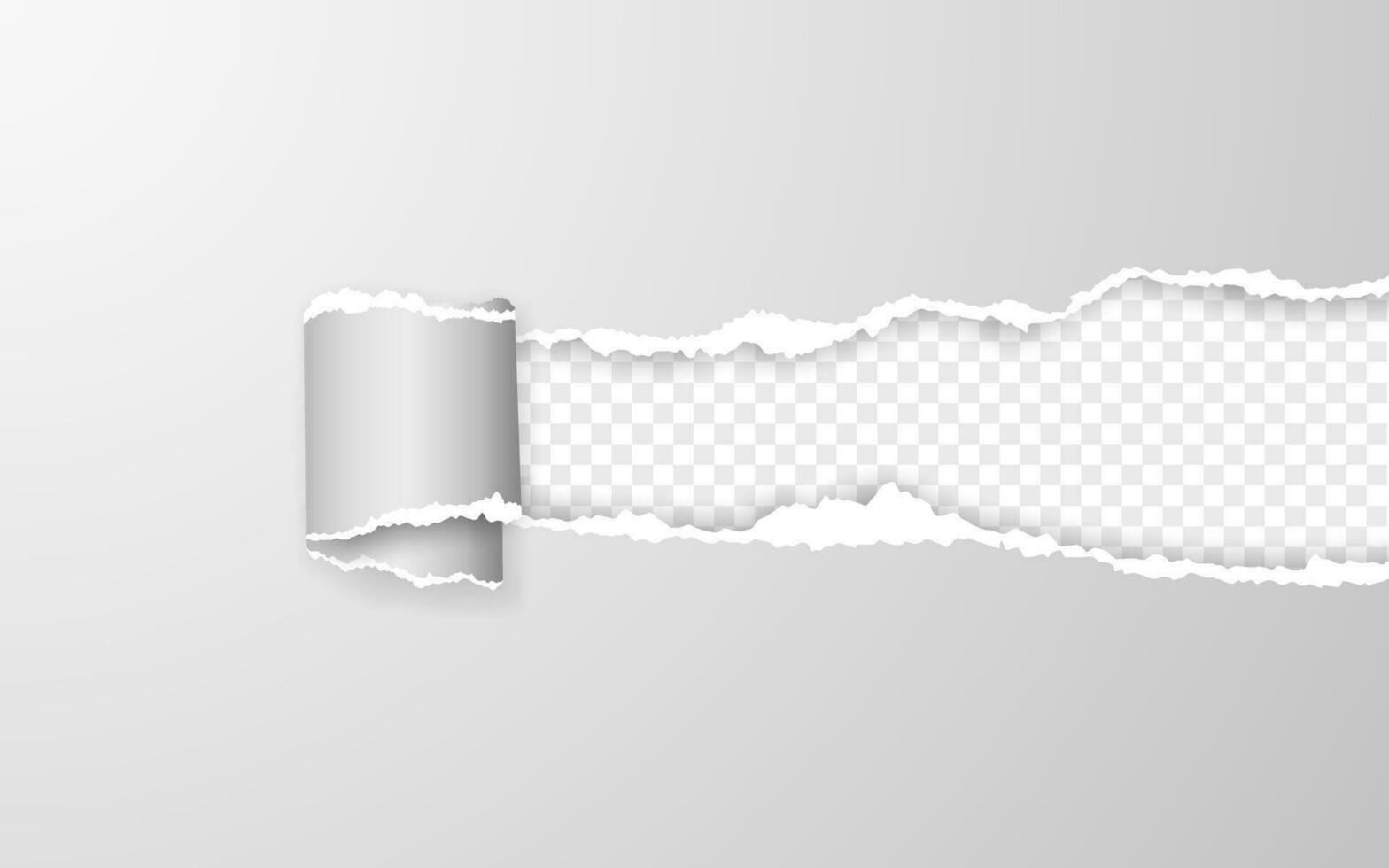 Realistic torn and twisted paper strip. Torn paper edge. Vector illustration