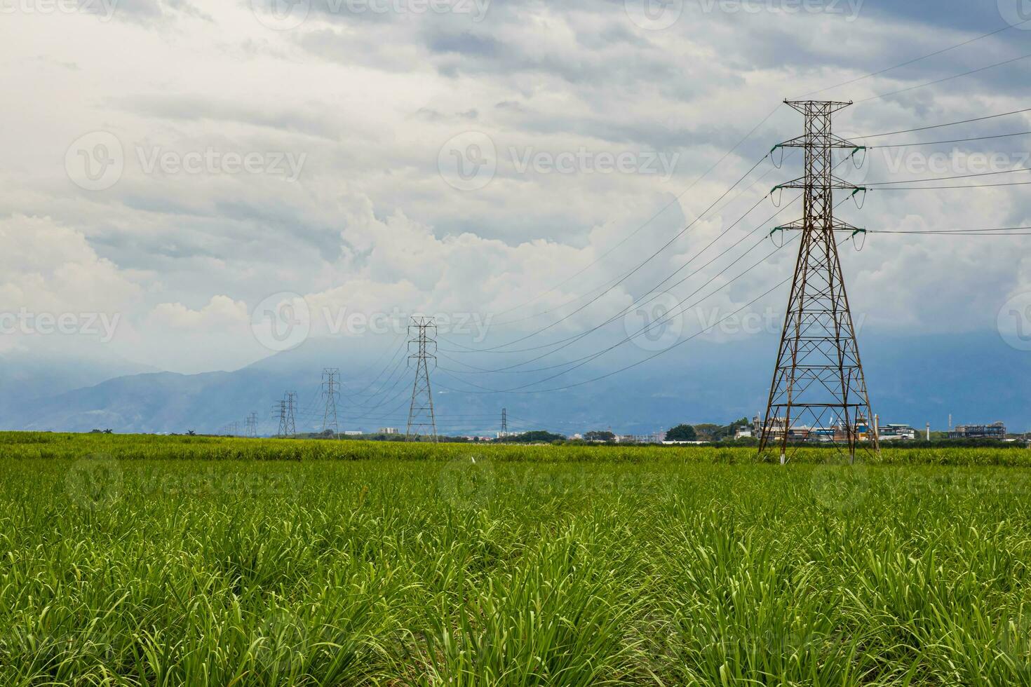 Electrical network and sugar cane field at Valle del Cauca region in Colombia photo