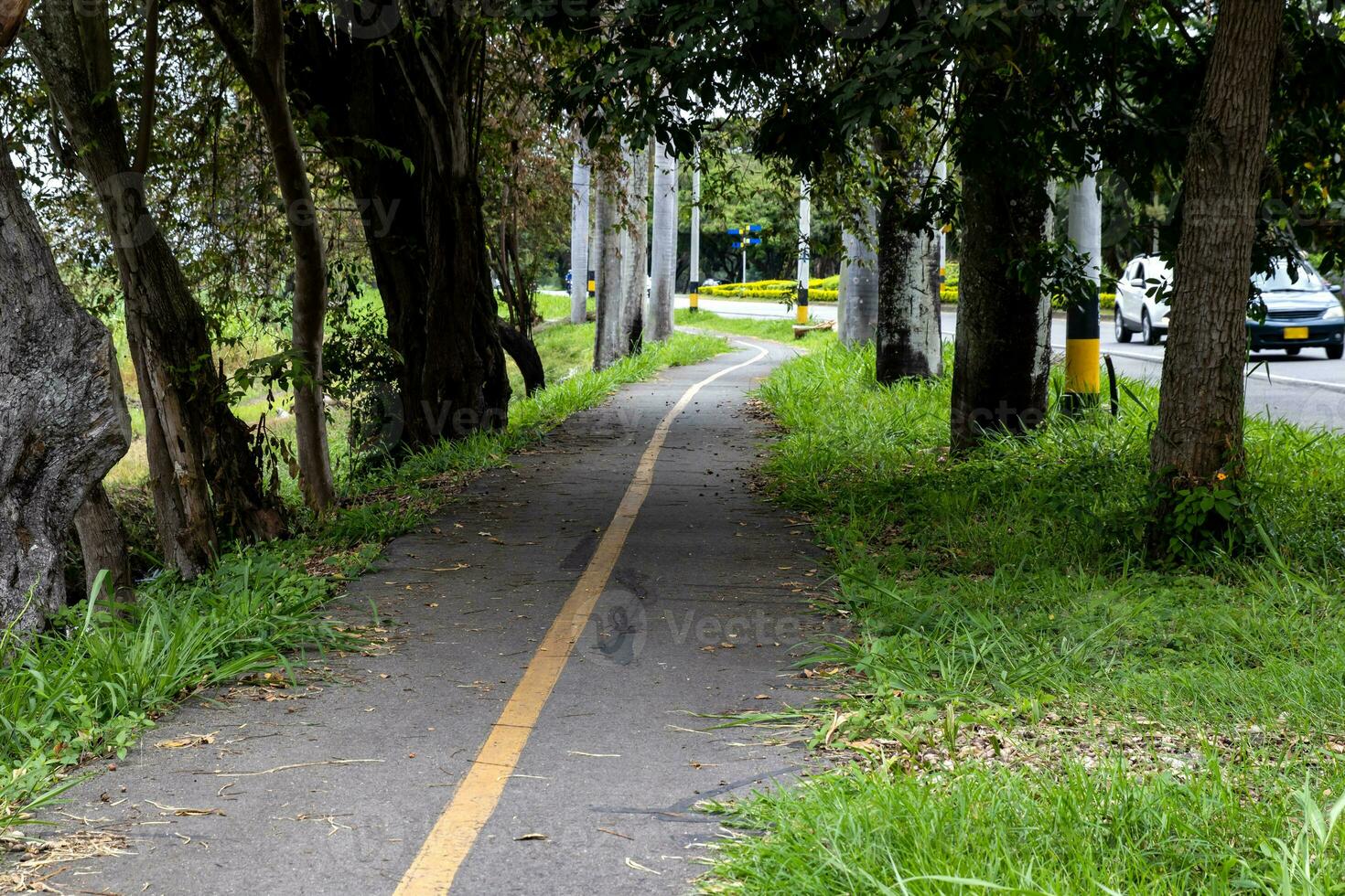 Empty bike path along the Cali - Palmira road in Colombia photo