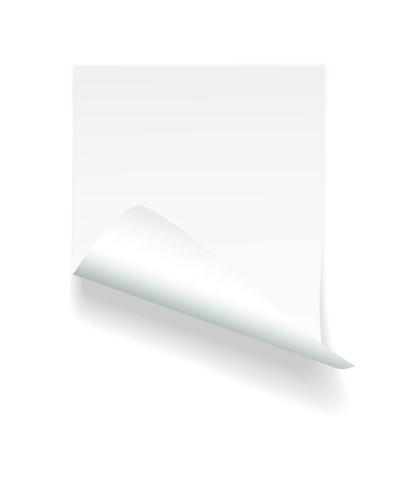 Blank A4 sheet of white paper with curled corner and shadow, template for your design. Set. Vector illustration