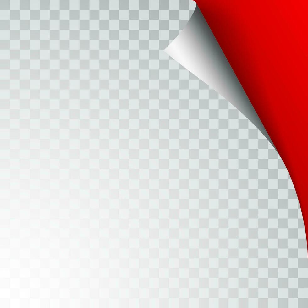 Paper page with curled corner and shadow. Template for your design. Set. Vector illustration