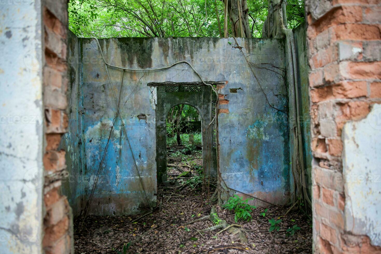 permanece de el destruido casas de el armero pueblo cubierto por arboles y naturaleza después 37 años de el tragedia causado por el nevado del ruiz volcán en 1985 foto