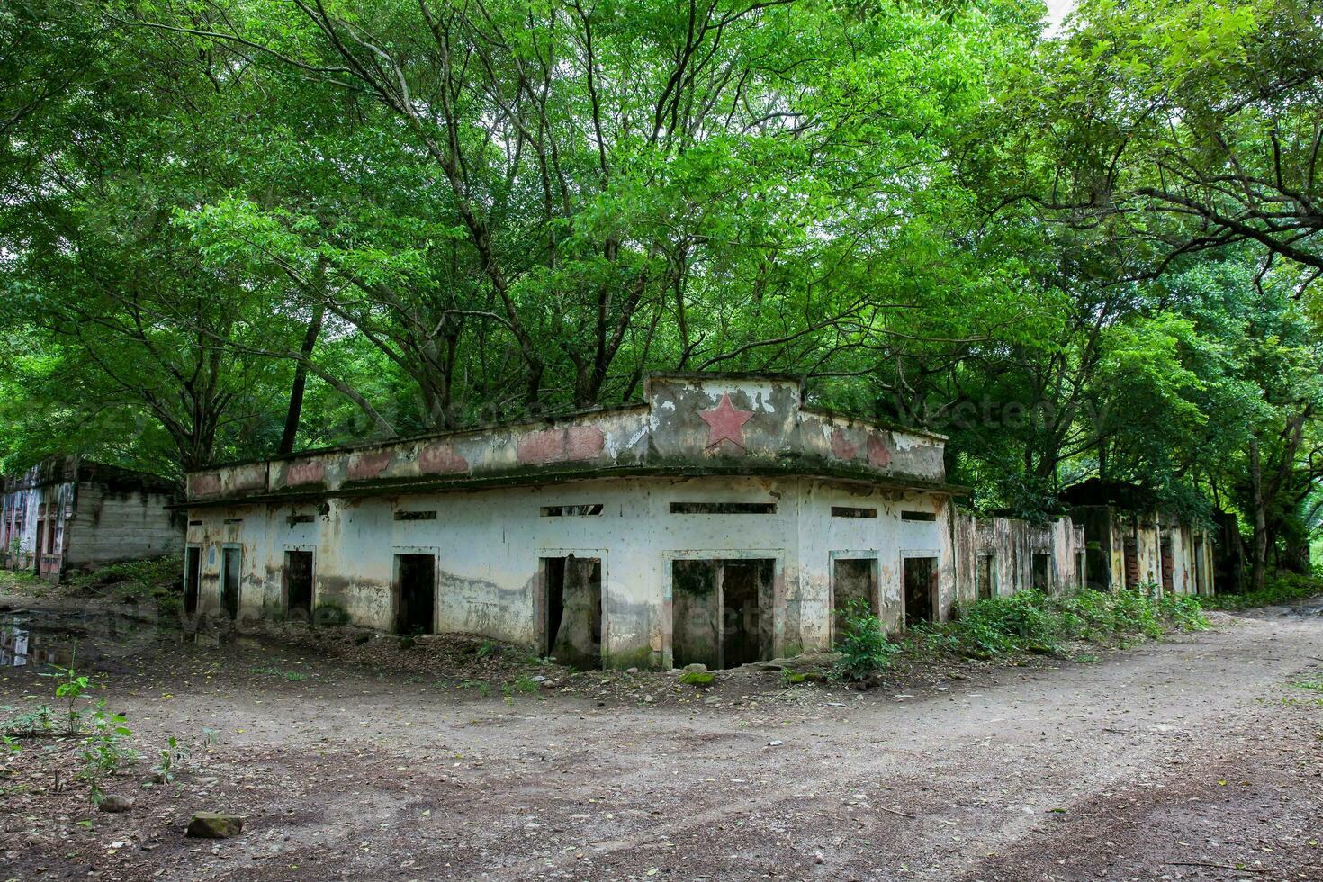 Remains of the destroyed houses of the Armero Town covered by trees and nature after 37 years of the tragedy caused by the Nevado del Ruiz Volcano in 1985 photo