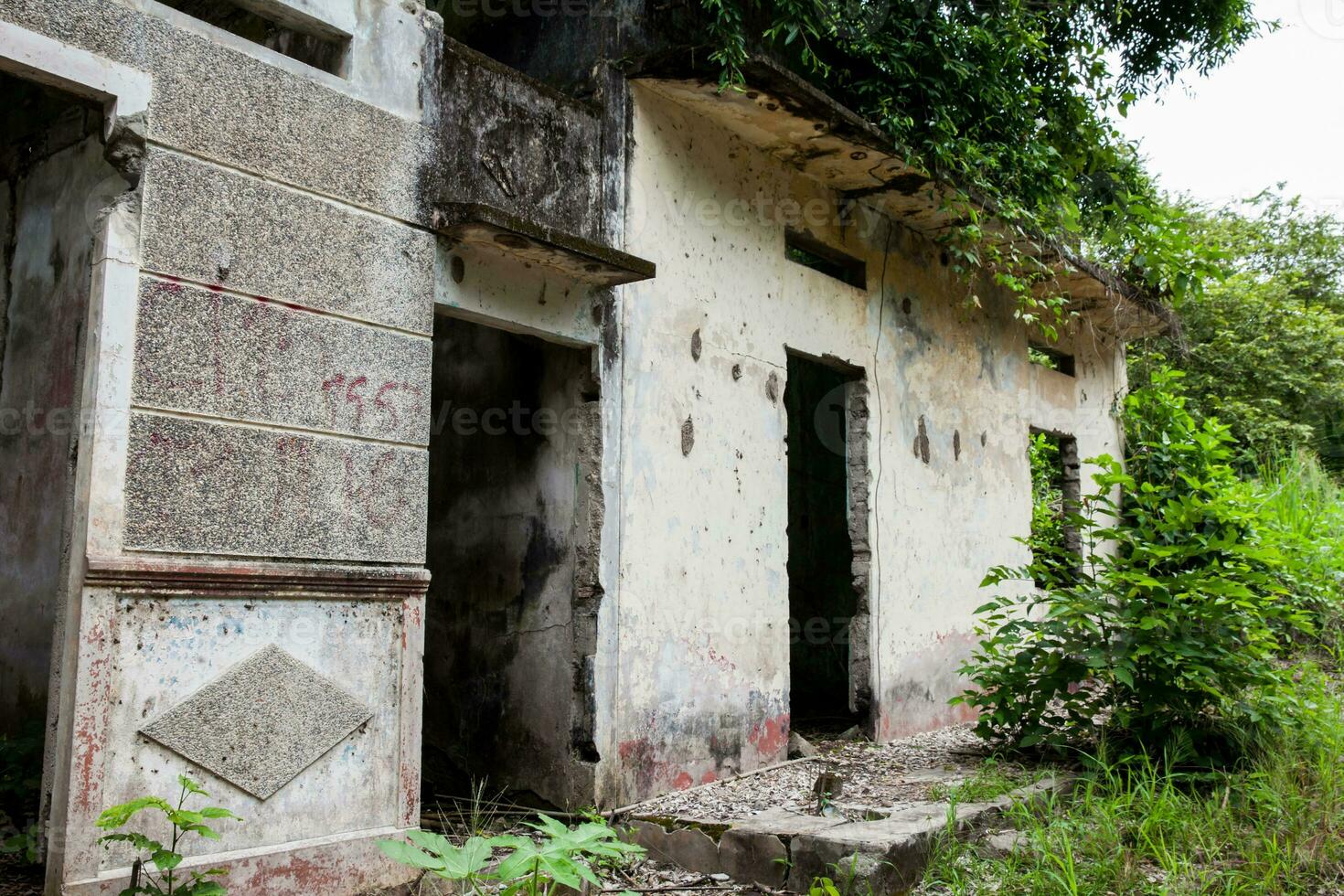 Remains of the destroyed houses of the Armero Town covered by trees and nature after 37 years of the tragedy caused by the Nevado del Ruiz Volcano in 1985 photo