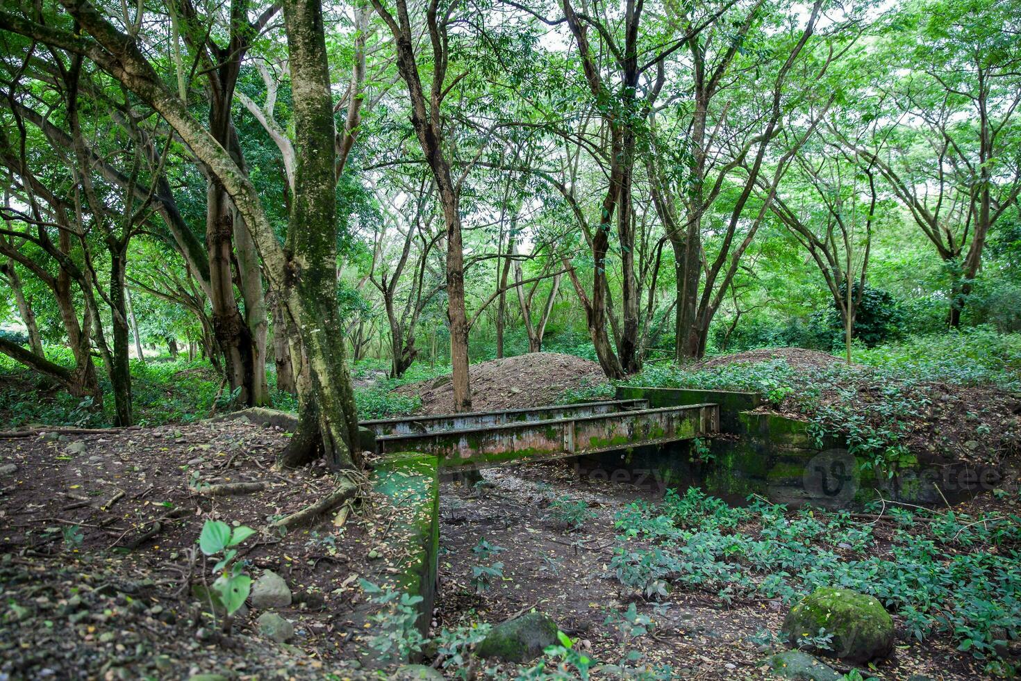 Abandoned bridge over which the train tracks passed before the Armero tragedy in 1985 photo