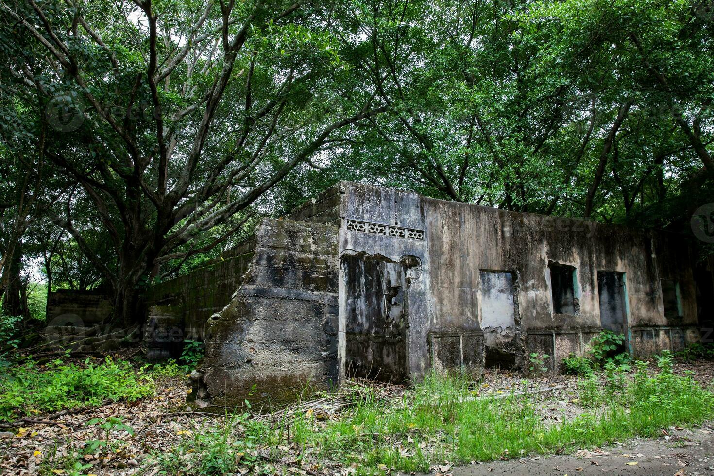 Remains of the destroyed houses of the Armero Town covered by trees and nature after 37 years of the tragedy caused by the Nevado del Ruiz Volcano in 1985 photo