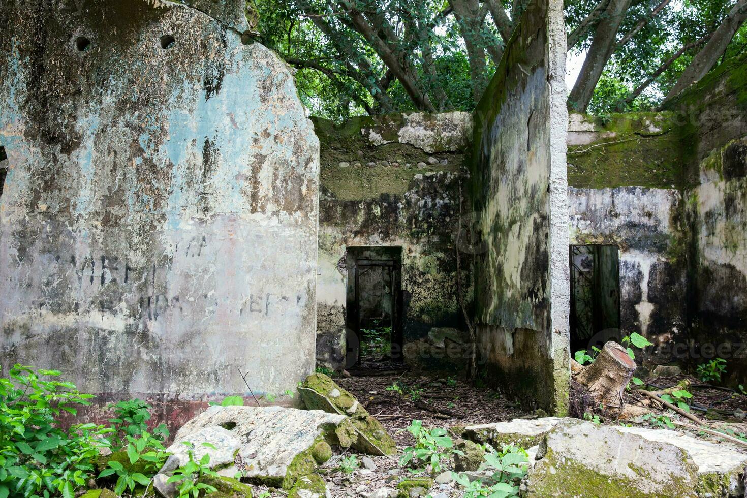 Remains of the destroyed houses of the Armero Town covered by trees and nature after 37 years of the tragedy caused by the Nevado del Ruiz Volcano in 1985 photo
