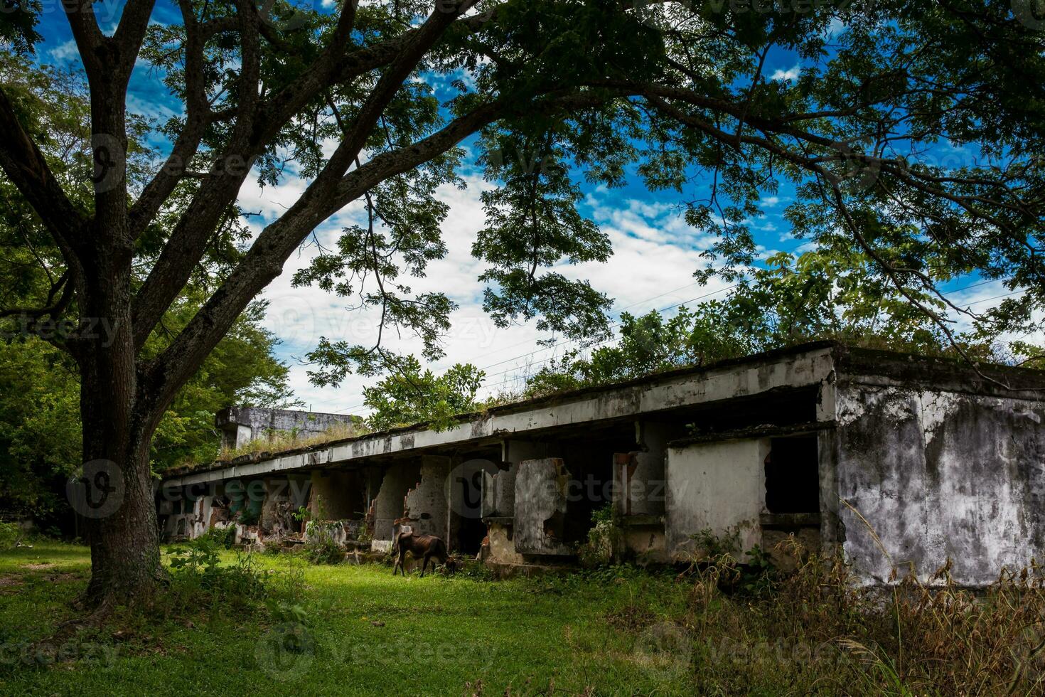 Remains of the destroyed San Lorenzo Hospital of the Armero Town buried by the avalanche up to the second floor after 37 years of the tragedy caused by the Nevado del Ruiz Volcano in 1985 photo